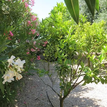 Case Dune Di בית נופש